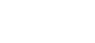 Jolt Leather